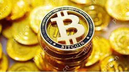 值得购买以获得短期收益的九种加密货币盘点